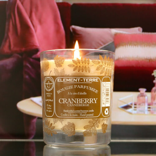 Recharge Bougie Cranberry 200g